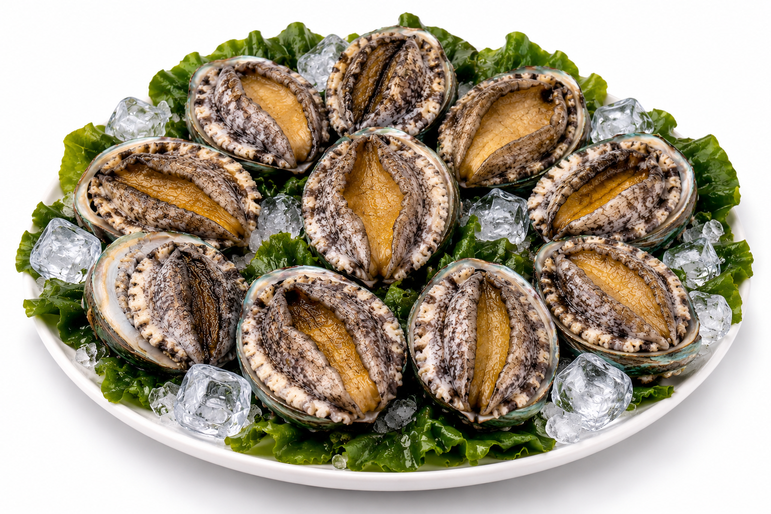 완도 활전복 1kg 10미(100g내외)