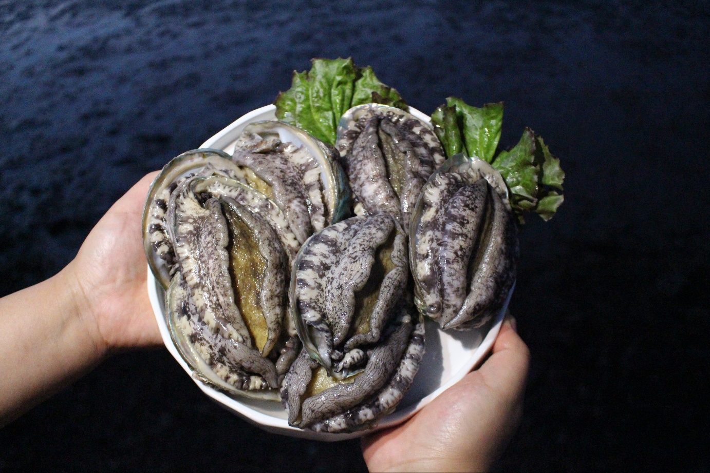 완도 활전복 1kg 10미(100g내외)