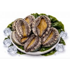 완도 활전복 1kg 10미(100g내외)