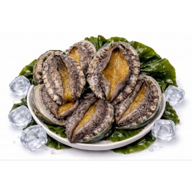 완도 활전복 1kg 10미(100g내외)