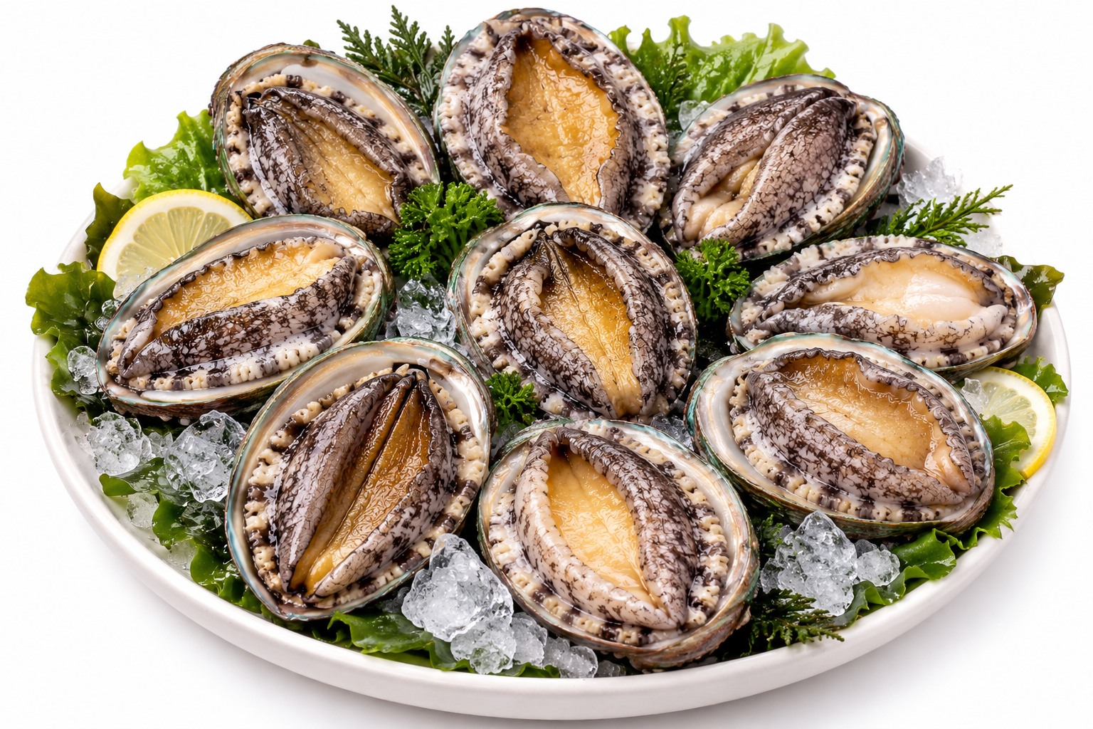 진도 활전복 1kg 9미(110g내외)
