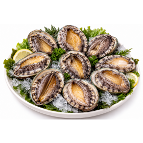 진도 활전복 1kg 9미(110g내외)