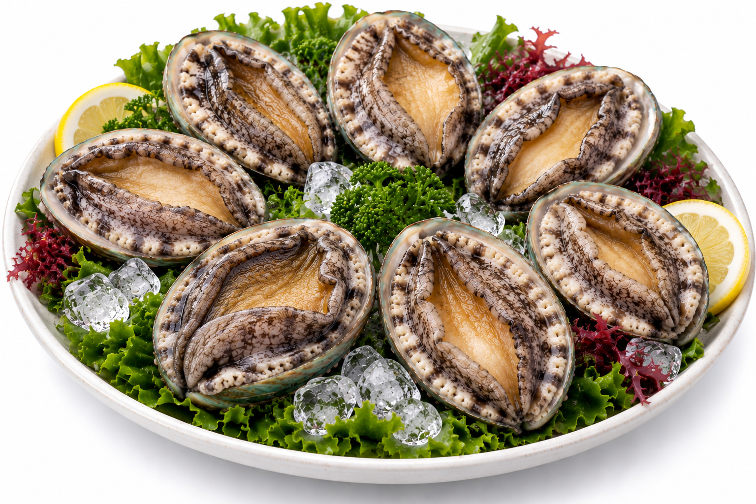 진도 활전복 1kg 8미(125g내외)