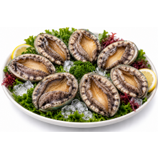 진도 활전복 1kg 8미(125g내외)