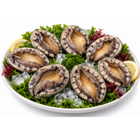 진도 활전복 1kg 8미(125g내외)