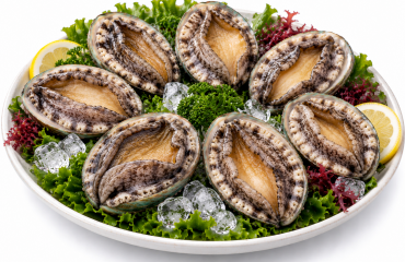 진도 활전복 1kg 8미(125g내외)