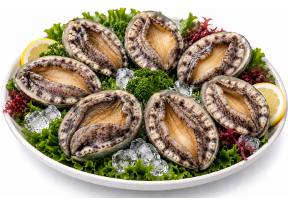 진도 활전복 1kg 8미(125g내외)