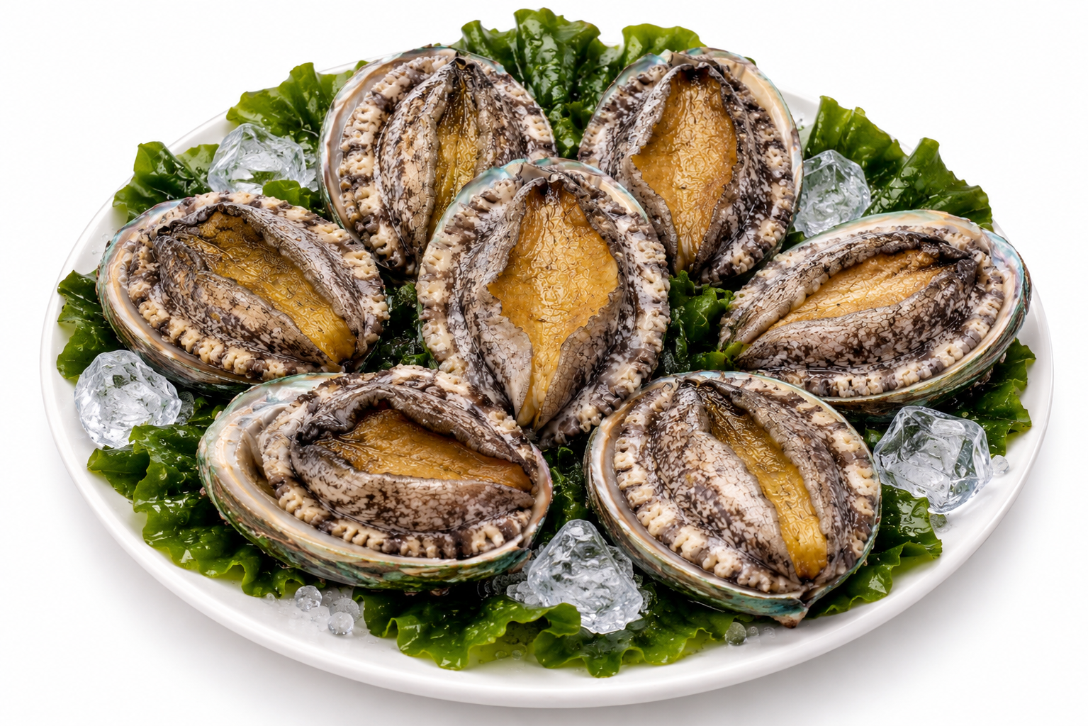 진도 활전복 1kg 7미(140g내외)
