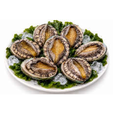 진도 활전복 1kg 7미(140g내외)