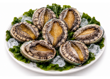 진도 활전복 1kg 7미(140g내외)