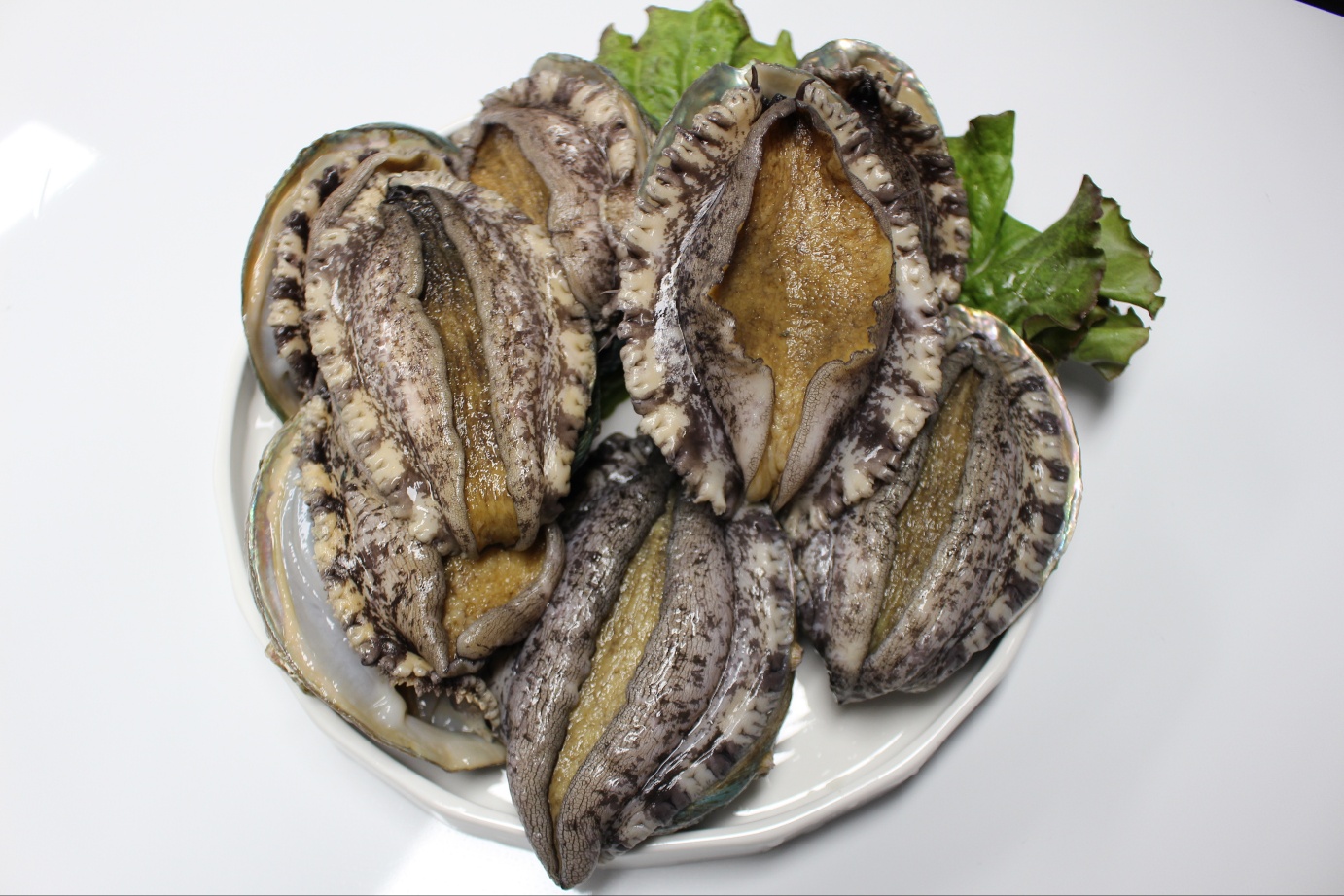 완도 활전복 1kg 6미(165g내외)