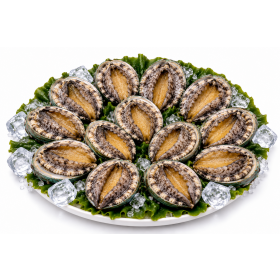 진도 활전복 1kg 11미~12미(80g내외)