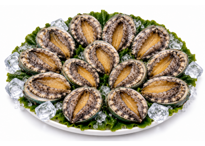 진도 활전복 1kg 11미~12미(80g내외)