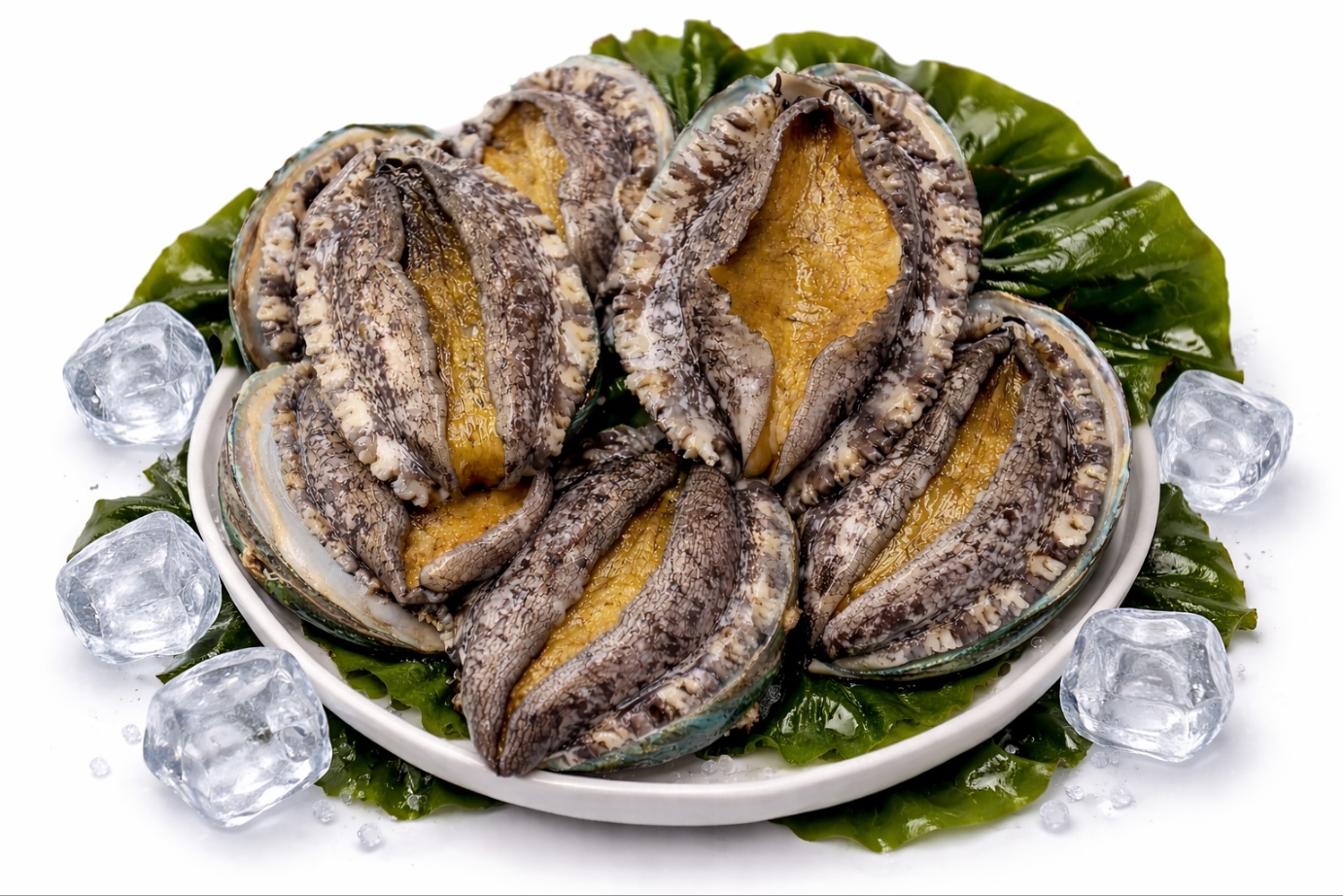 완도 활전복 1kg 15미(65g내외)