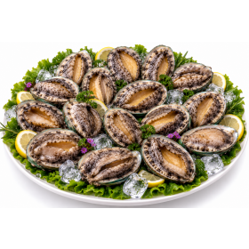 진도 활전복 1kg 14미~15미(65g내외)