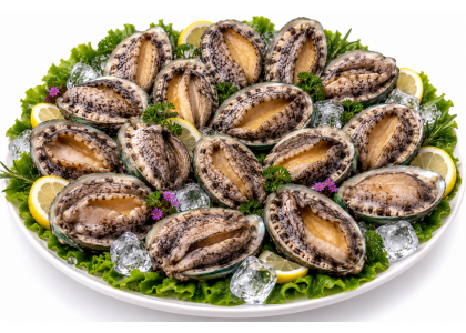 진도 활전복 1kg 14미~15미(65g내외)