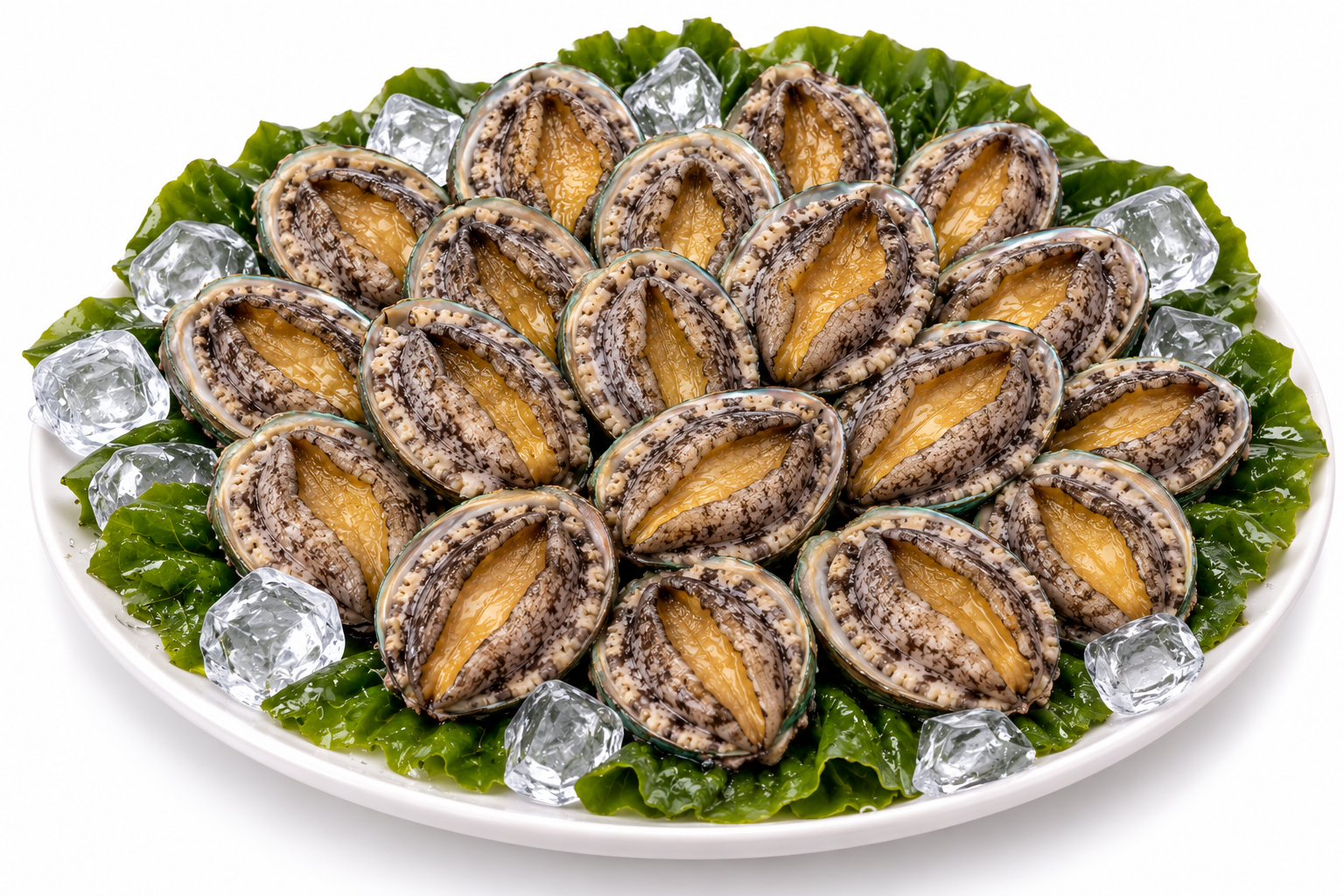 진도 활전복 1kg 18미~22미(50g내외)