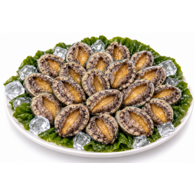 진도 활전복 1kg 18미~22미(50g내외)